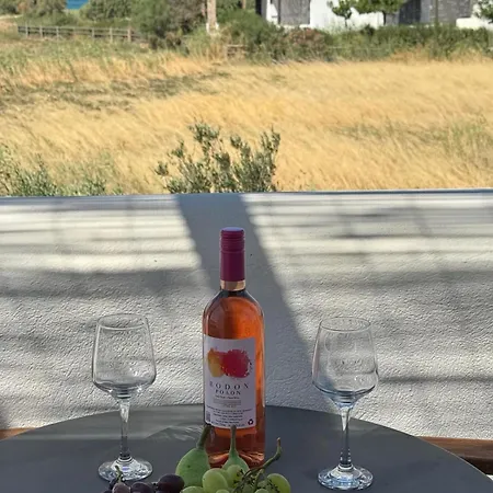 Tolakis Apartamento