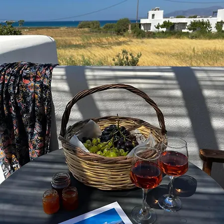 Apartment Tolakis *