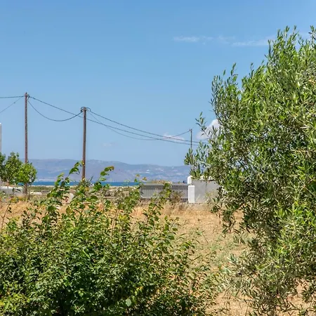 Studio Tolakis Apartment *
