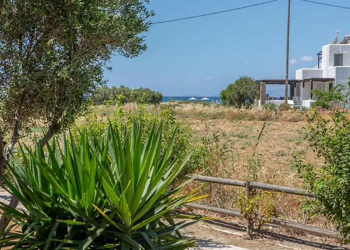 Tolakis Apartment Plaka (Naxos)